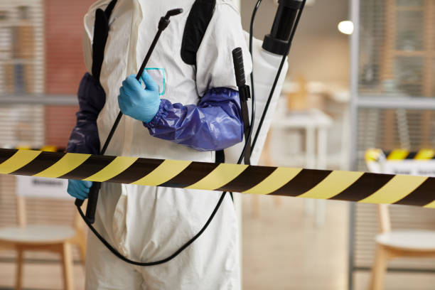 Professional Odor Removal technician working in Fallston, MD